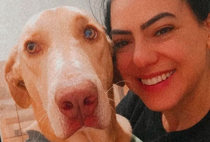 Para ser voluntário da causa animal, “não é preciso nada além de empatia e compaixão”