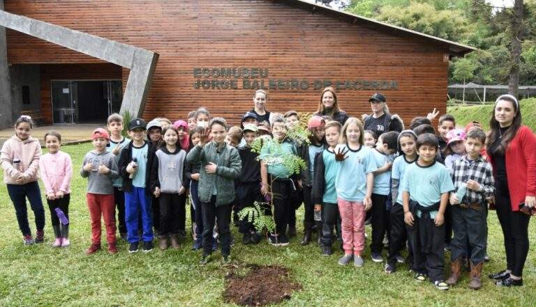 Alunos plantam muda de Pau Brasil no Ecomuseu