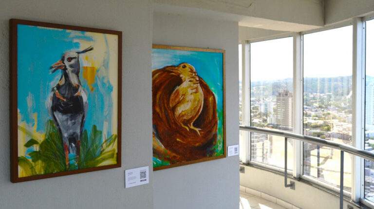 População pode visitar a exposição “Raízes” na Torre da Concatedral