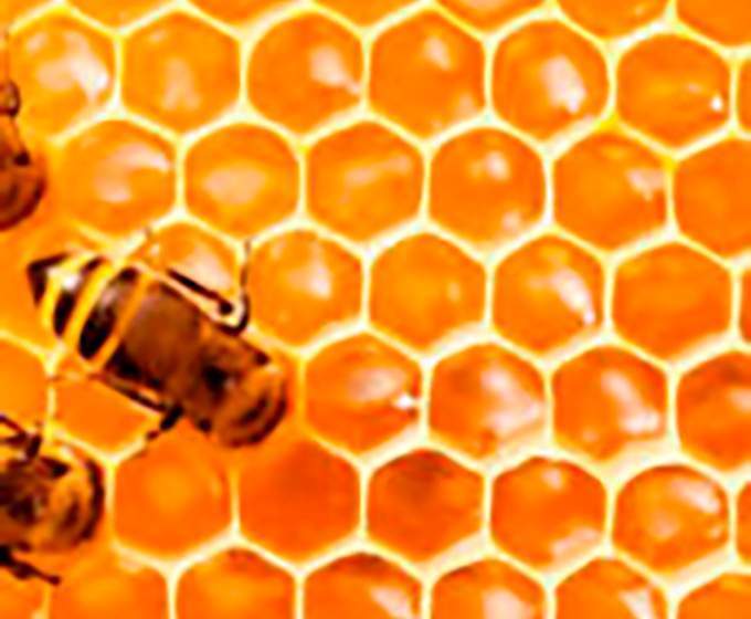 ATeG: melhoria na base da agropecuária do Paraná