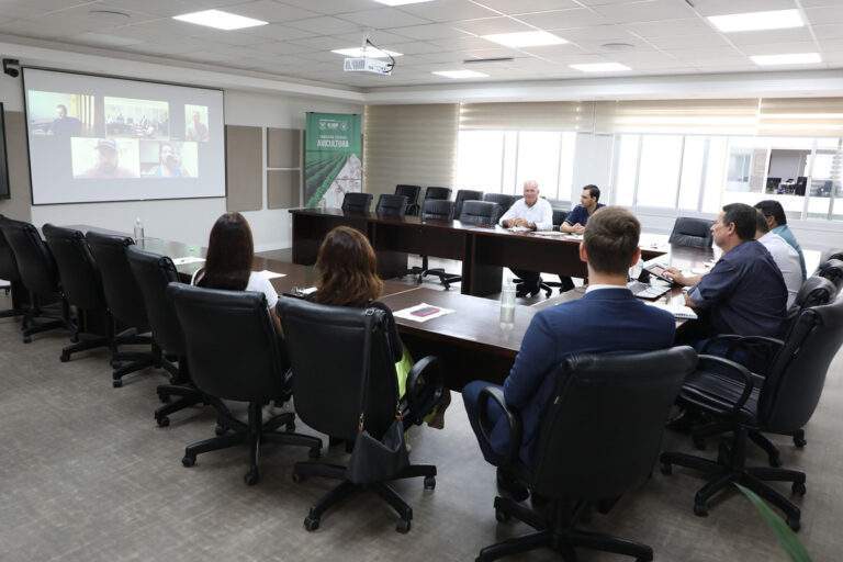 Avicultores estão em alerta contra a gripe aviária
