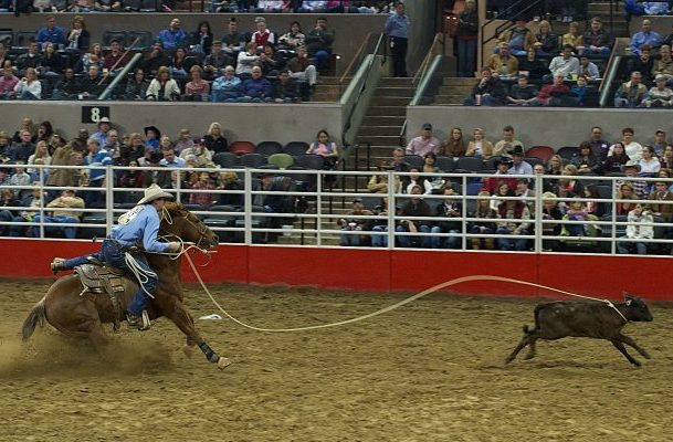 Nova lei reconhece rodeio crioulo como cultura popular