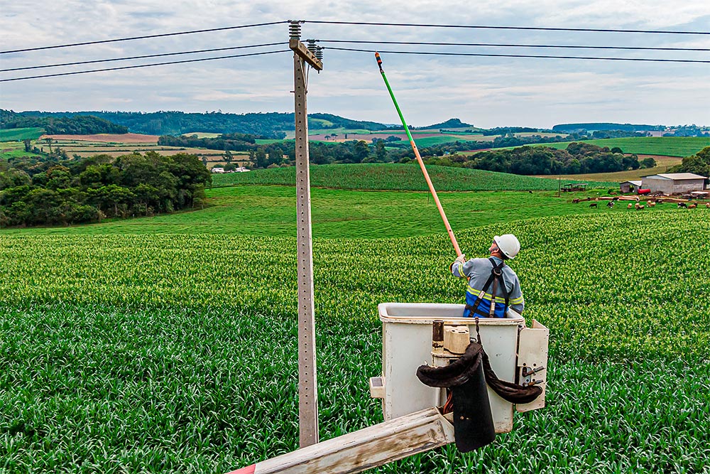 22 mil quilômetros: Paraná Trifásico leva energia mais potente e estável à agroindústria