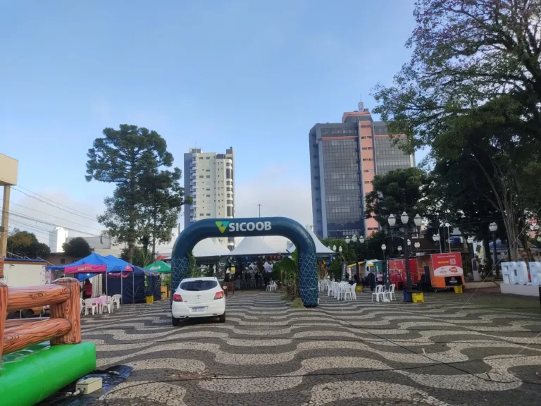 O tempo em Beltrão: Previsão de muitas geadas