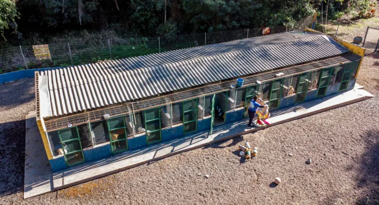 O Centro de Zoonoses precisa dos beltronenses