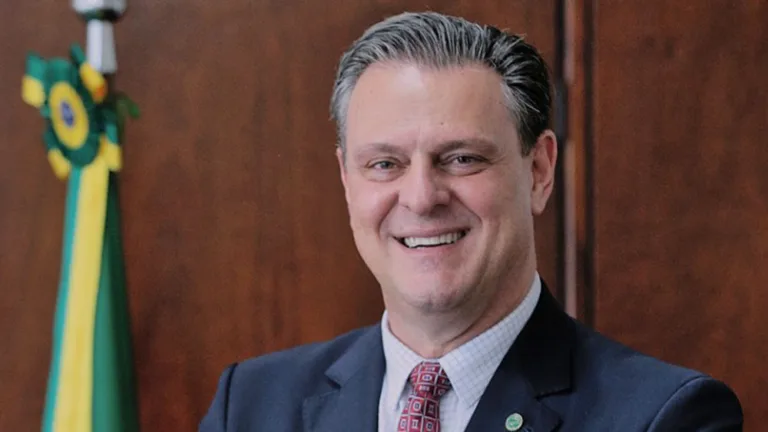 Brasil não tem casos de gripe aviária em granjas comerciais