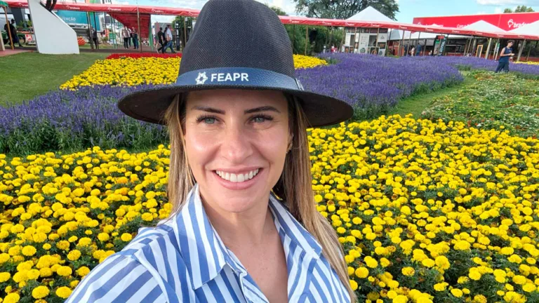 Seminário Regional em Beltrão sobre segurança em silos de grãos