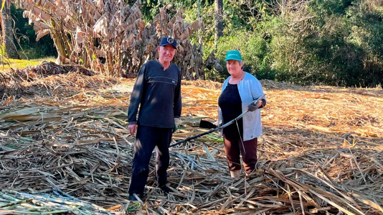 Produtor de cachaça artesanal encerra atividades após 20 anos