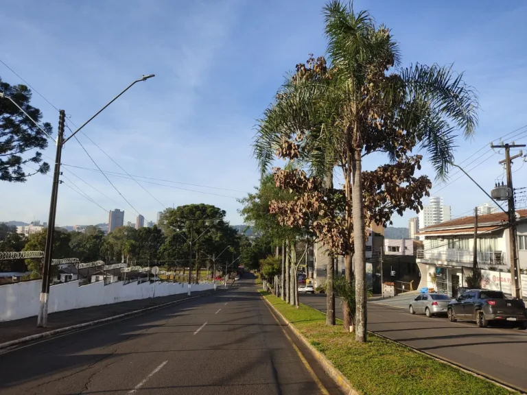 Onde tem Palmeiras não tem mundial, onde tem mundial não tem Palmeiras?