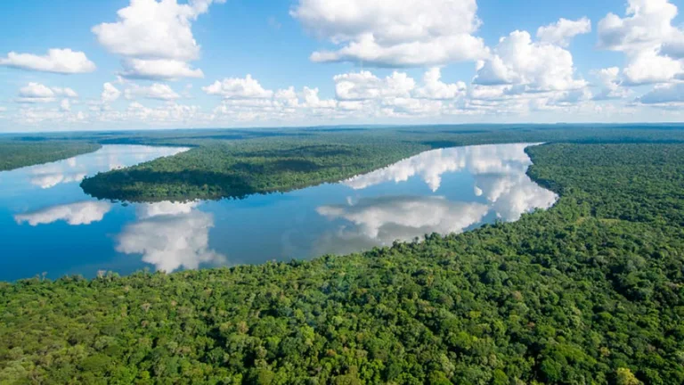 Dois Vizinhos: Pedidos de alevinos seguem até 27 de fevereiro