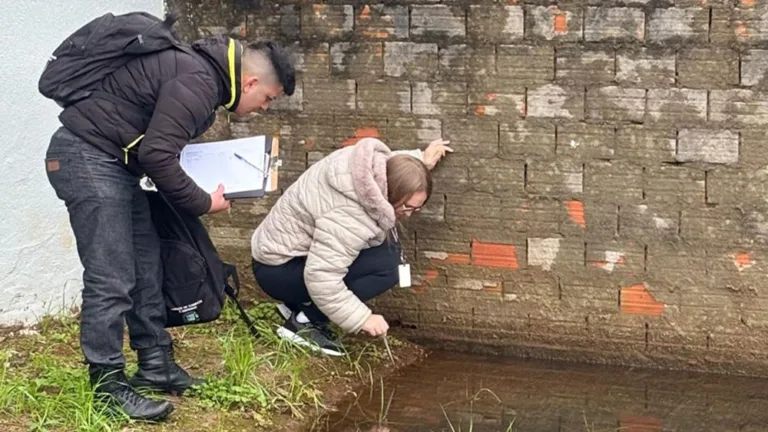 Apesar do inverno rigoroso, agentes encontram larvas da dengue