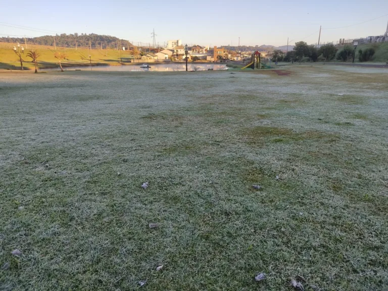 Geada em Beltrão e quase todo o Paraná, neste domingo