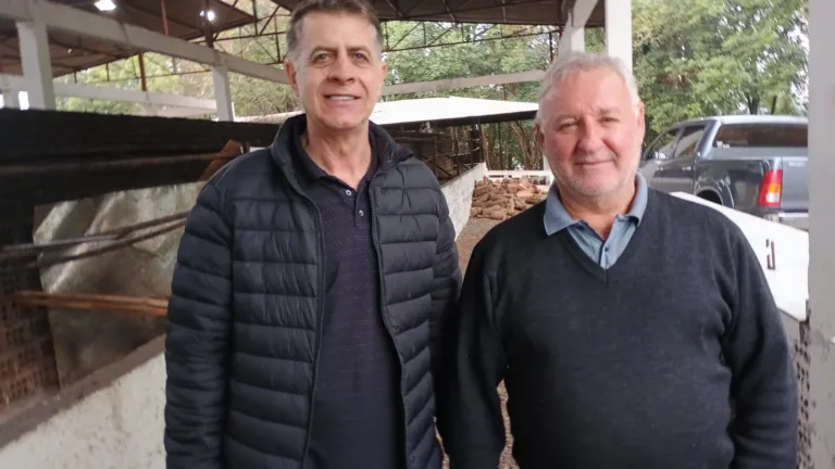 Festa dos Motoristas, domingo, terá tempo bom