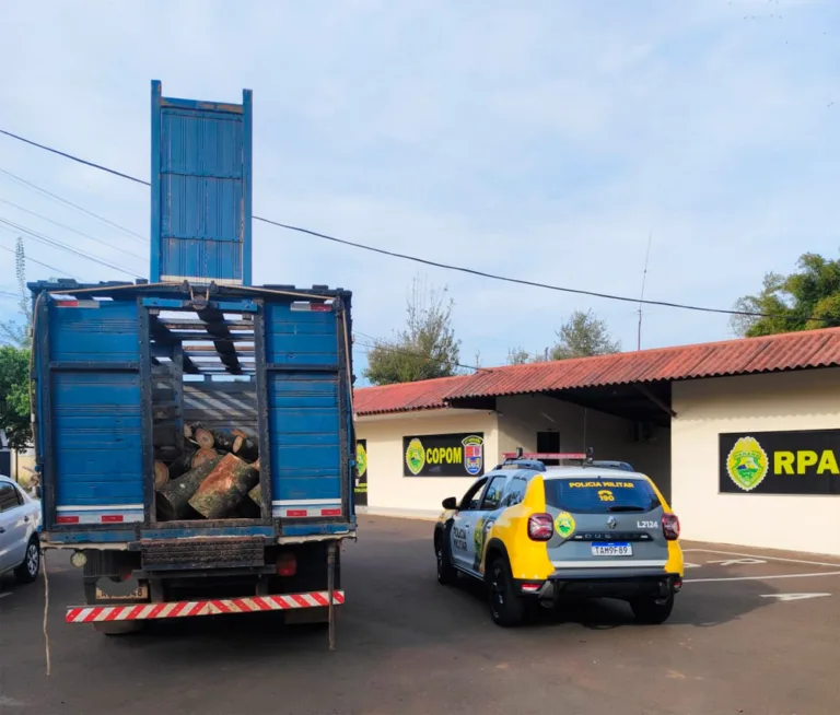 PM prende dois homens por corte ilegal de árvores