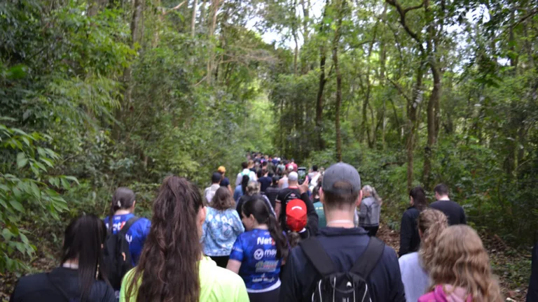 Caminhada na Natureza reúne cerca de 300 pessoas