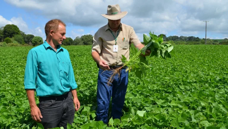 IDR-Paraná lança processo seletivo para contratar 173 profissionais no Estado