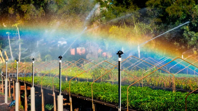 COP30: Itaipu levará experiência em recuperação de ecossistemas