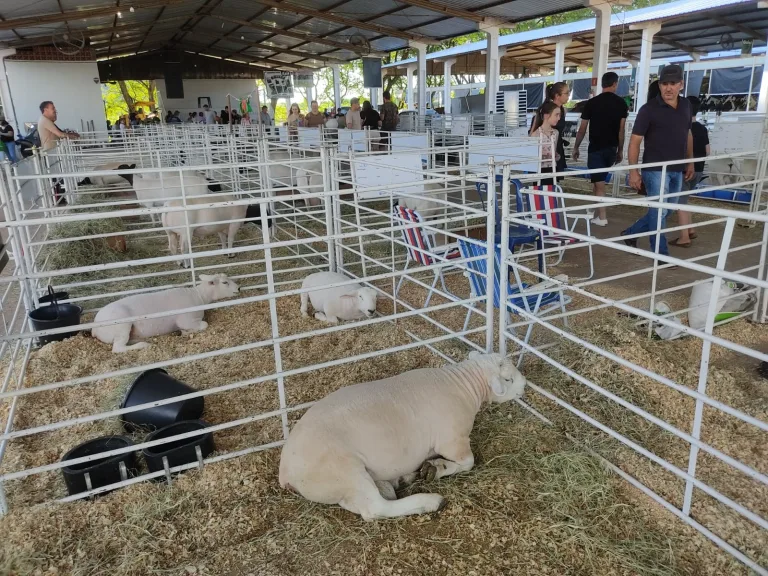 Muito calor hoje em Beltrão, Dois Vizinhos e todo o Paraná