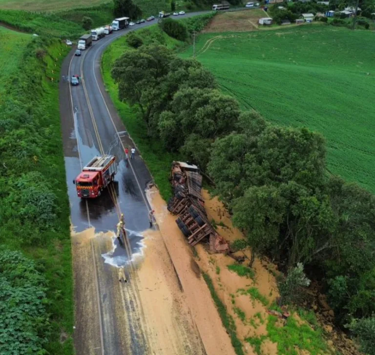 Família que viajava com caminhoneiro fica ferida após veículo tombar