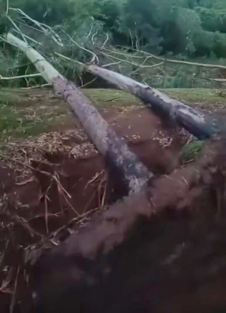 Verê registra danos devido à chuva e vento