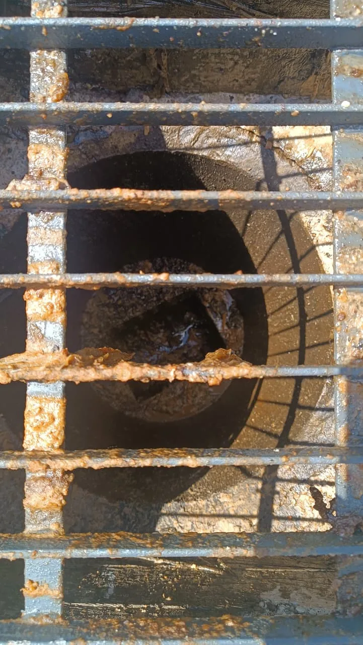 Empresa de soluções ambientais é flagrada cometendo crime ambiental