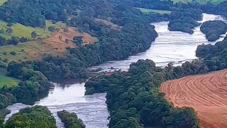 Pai sai para pescar com os filhos, cai em rio e morre afogado