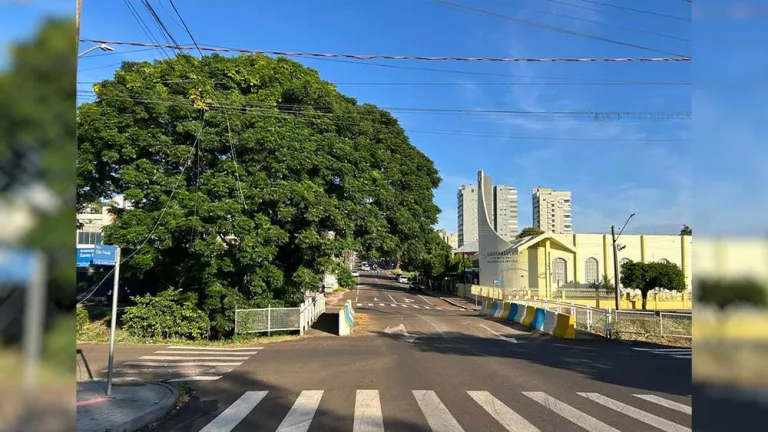 O tempo em Beltrão: chove amanhã?