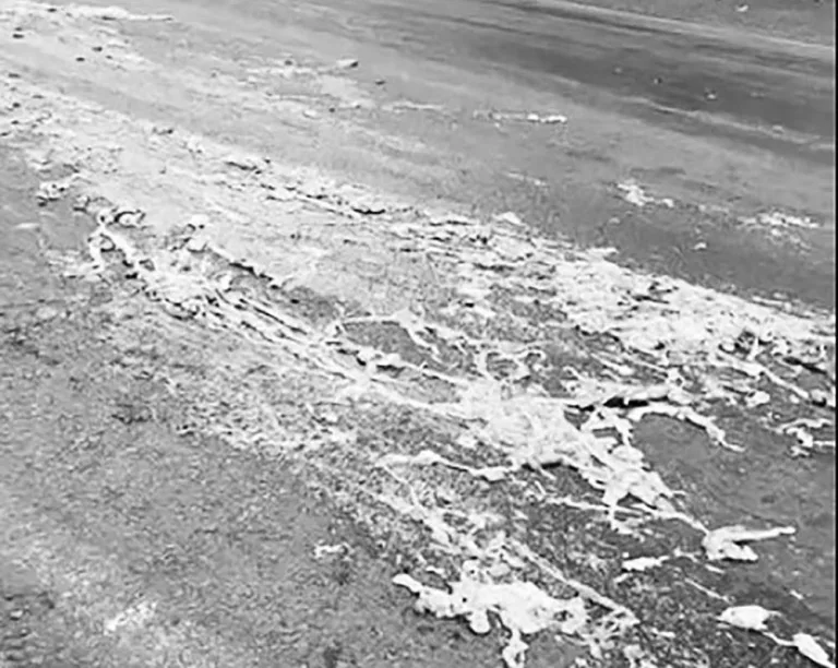 Caminhão que transportava vísceras derrama carga em Santa Izabel