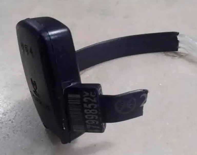 Condenado é detido após cortar tornozeleira