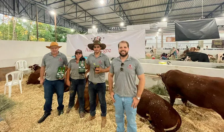 Na Expobel, criadores apresentam animais de alto padrão de qualidade