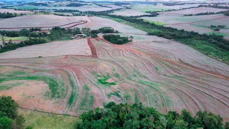 Produtores do Sudoeste podem enfrentar perdas severas na safrinha