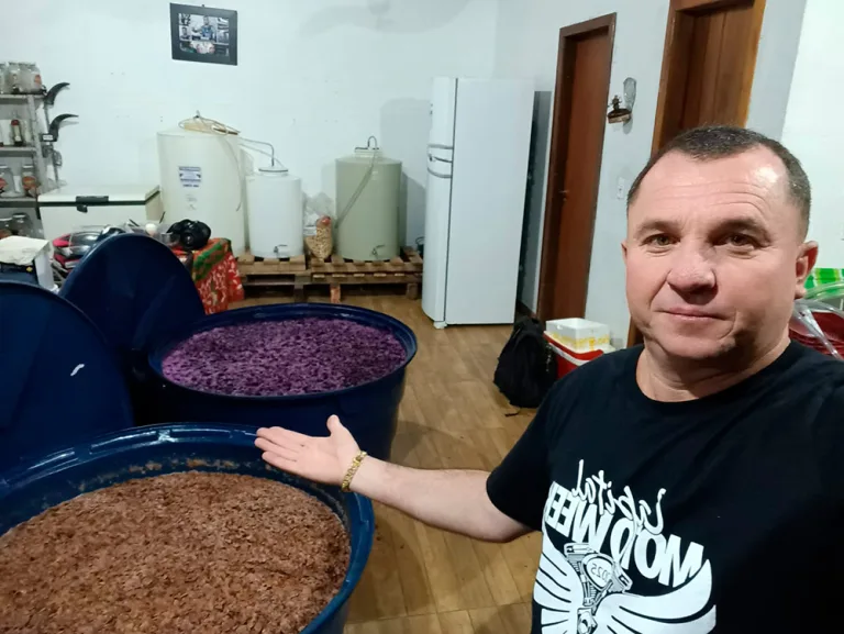 Há 6 anos, Marcos Facin produz o seu próprio vinho