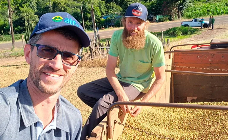 Colheita atrasa e exige pequeno ajuste no plantio do milho safrinha