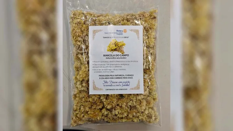 Rotary Integração divulga o projeto Chá de Marcela