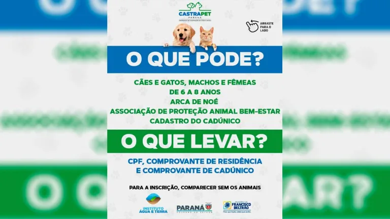 Castrapet abre 290 vagas para castração em Francisco Beltrão