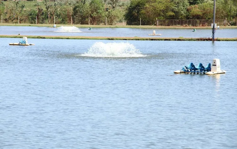 Sistema FAEP orienta sobre novas regras que regem a outorga d’água