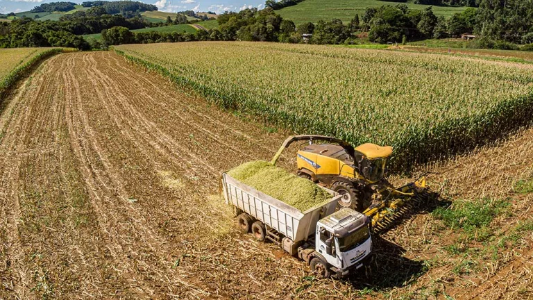 Deral revisa safra de soja para 21,88 milhões de toneladas