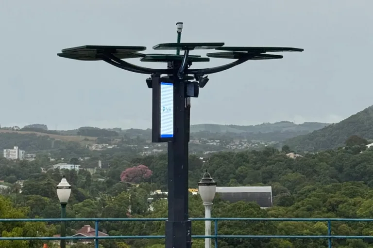 Startup cria “araucária digital” com apoio do Paraná Anjo Inovador