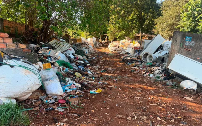 Força-tarefa atua em terreno com descarte irregular no Pinheirinho