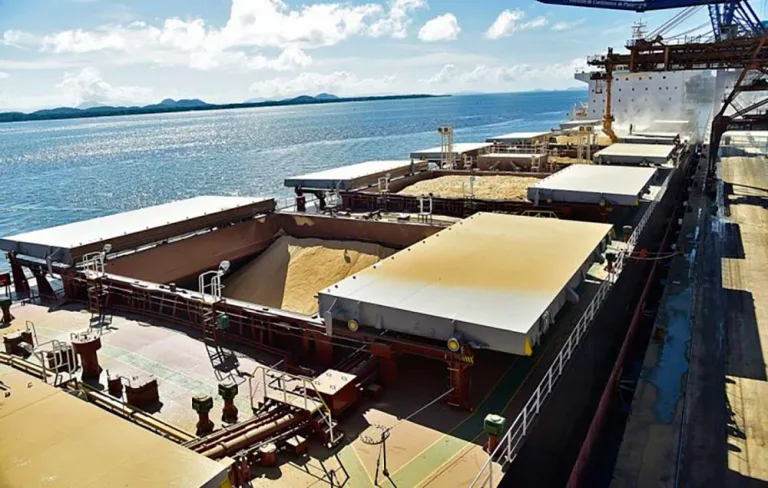 Exigências da China preocupam produtores de soja