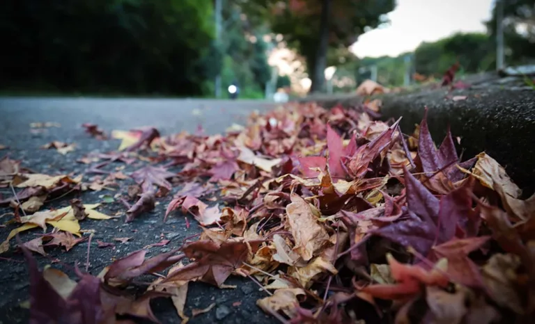 Outono começa com altas temperaturas no Paraná