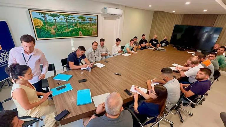 Procon garante acordo para reduzir poluição visual e riscos com fios