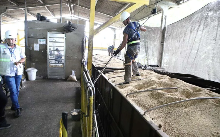 IDR-PR garante qualidade da soja, farelo e milho embarcados