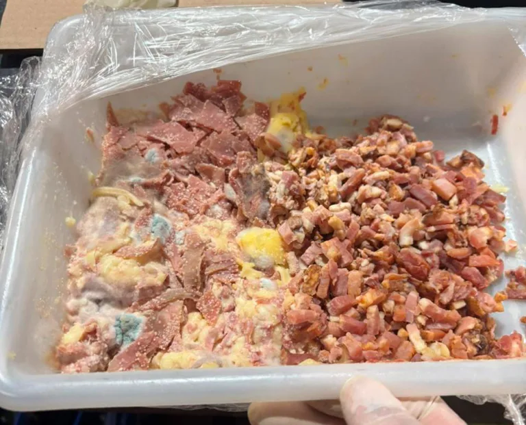 Fiscalização é reforçada pela Vigilância Sanitária