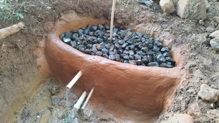 Proteção de nascentes garante água de qualidade no interior de Beltrão