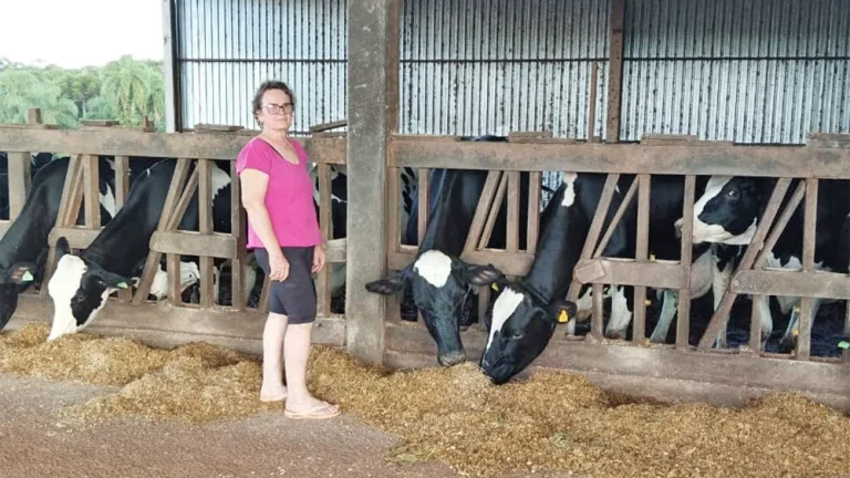 Produtores enfrentam dificuldades com água em meio a calor prolongado