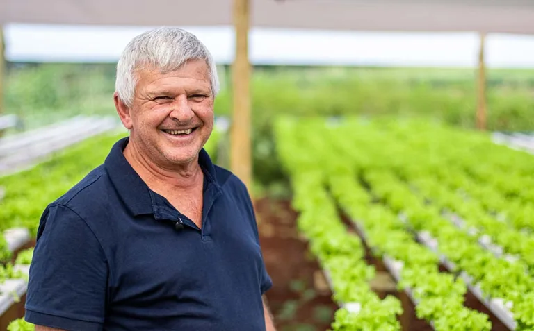Estiagem pode afetar até verduras hidropônicas