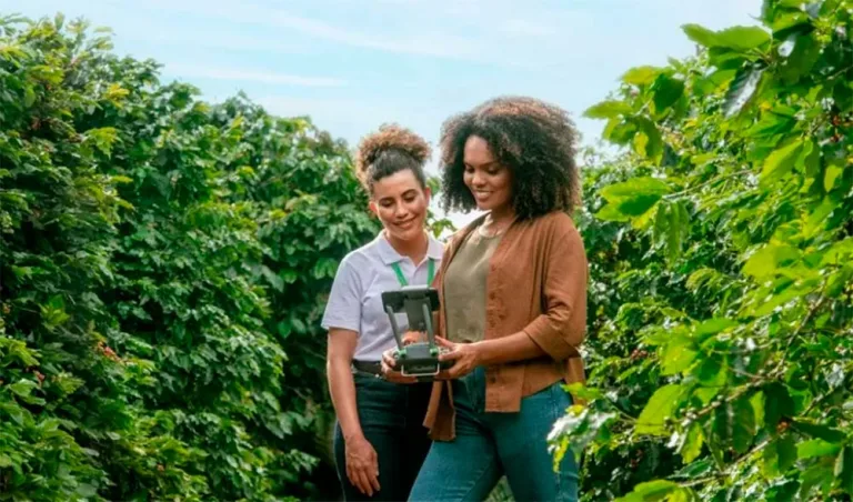 Sicredi reforça liderança no crédito rural do Paraná