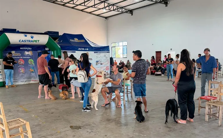 Programa de castração atende quase 300 animais em Francisco Beltrão