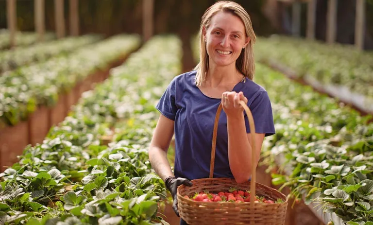 Cooperativa Cresol apresenta Relatório de Sustentabilidade com mais de 90 indicadores